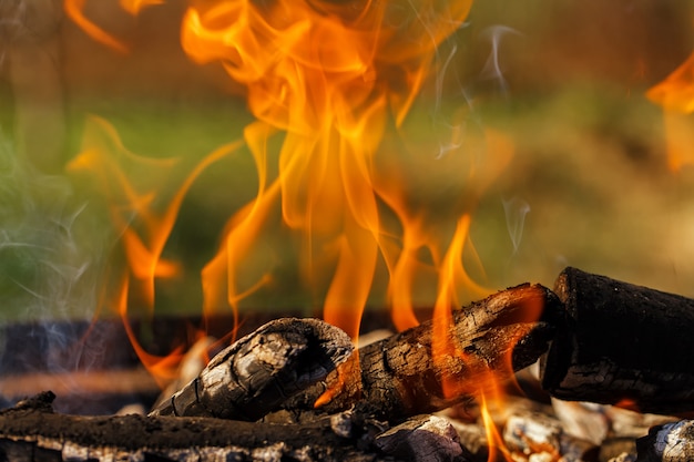 La leña a la parrilla quema fuego brillante