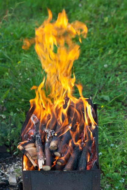 Lenguas de fuego en brasero