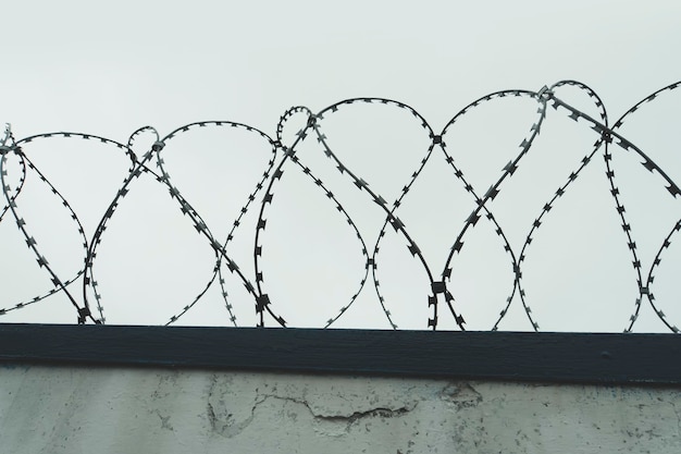 La lengüeta enredada con cielo gris. la valla de la prisión. Holocausto.