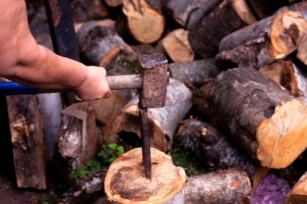 Lenhador de camisa xadrez corta árvore em floresta densa com machado afiado