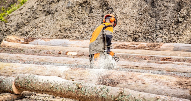Lenhador serra motosserra de árvore na serraria Madeira dura trabalhando na floresta Lumberman trabalha com motosserra na floresta Lenhador lenhador é homem árvore de motosserra