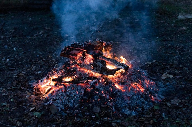 Lenhas fumegantes em cinzas no crepúsculo azul