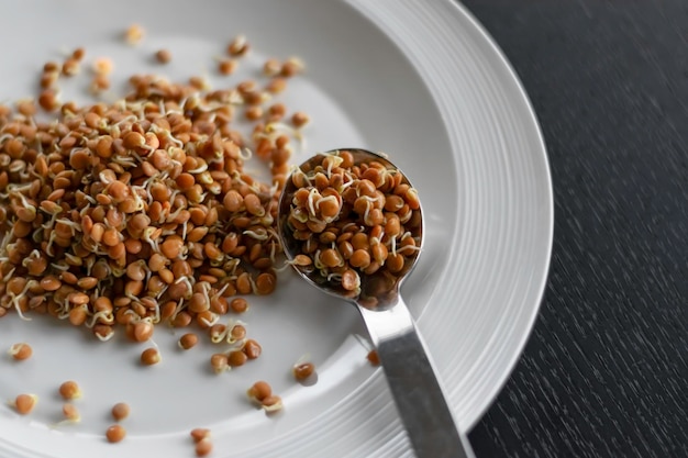 Lentejas germinadas en una placa plana blanca con una cuchara Vegetariana vegana y comida cruda