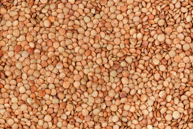 lentilhas secas castanhas como fundo Alimentação saudável Nutrição vegana e vegetariana