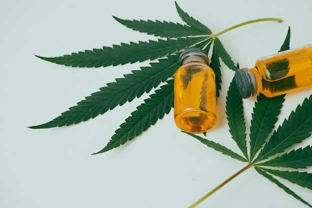 Óleo de cannabis em frascos com folhas verdes em fundo branco. Conceito de medicina alternativa.