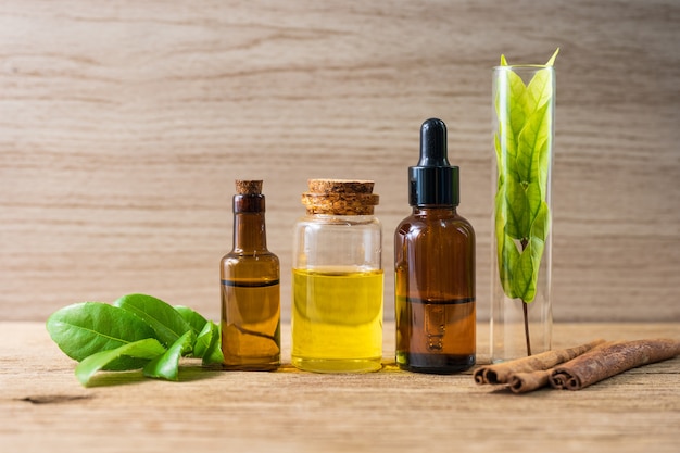 Óleo de erva natural para aromaterapia, medicina alternativa para saúde e bem-estar