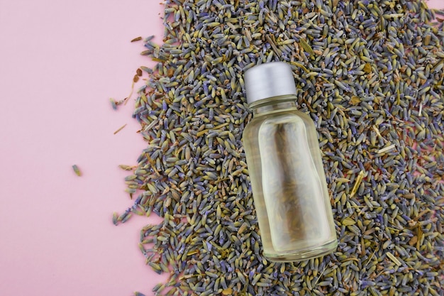 Óleo de lavanda em uma garrafa de vidro transparente sobre um fundo rosa claro ... Conceito de cosméticos botânicos