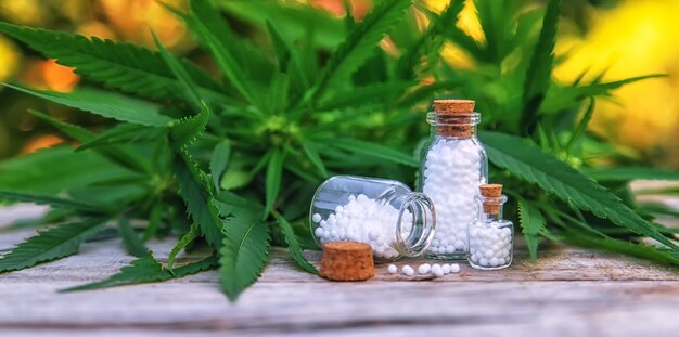 Óleo de maconha em uma pequena garrafa. Foco seletivo. Natureza.