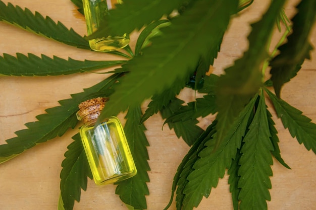 Óleo essencial de cannabis em uma pequena garrafa Foco seletivo