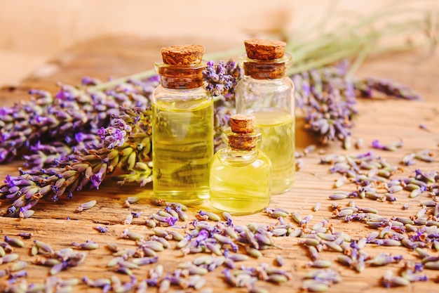 Óleo essencial de lavanda em uma pequena garrafa. Foco seletivo. natureza.