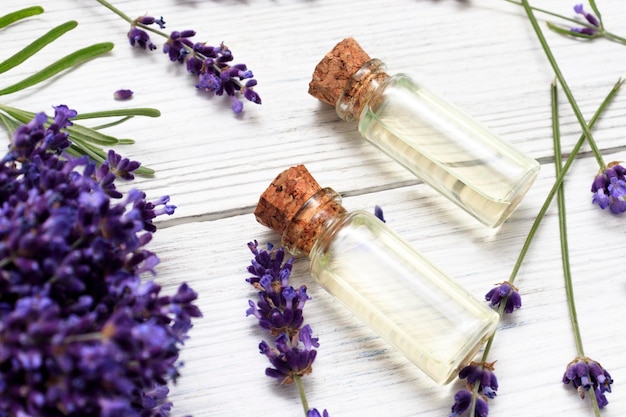 Óleo essencial de lavanda entre flores de lavanda em flor eficaz em caso de queda de cabelo estimula o crescimento do cabelo dá brilho alivia a caspa fortalece as unhas é usado como repelente