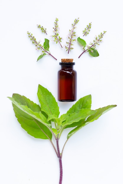 Óleo essencial de manjericão com folhas de manjericão e flor