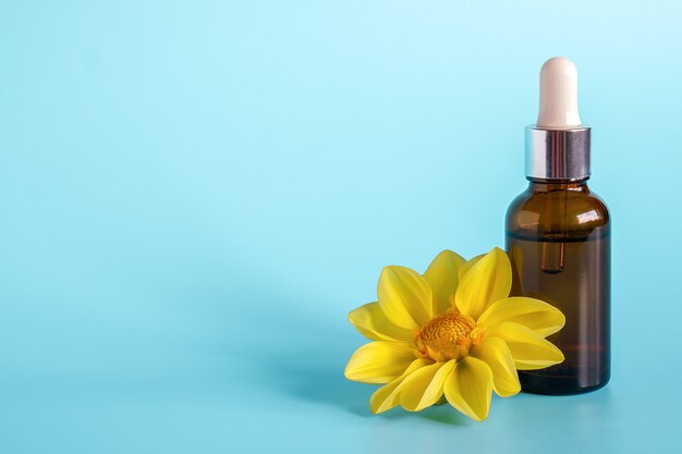 Óleo essencial em frasco conta-gotas marrom e flor amarela. Produto de cosméticos de beleza orgânica natural conceito.