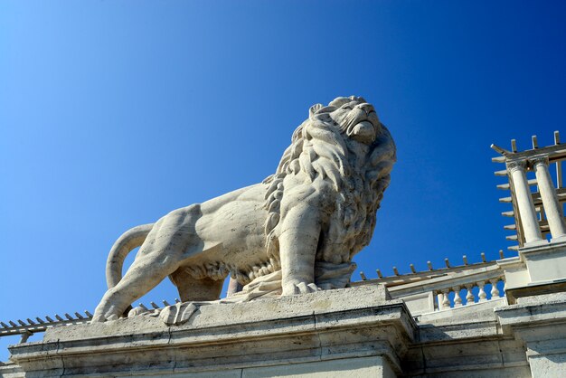 Foto león de budapest