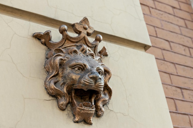 Foto un león con una corona en una casa en la calle