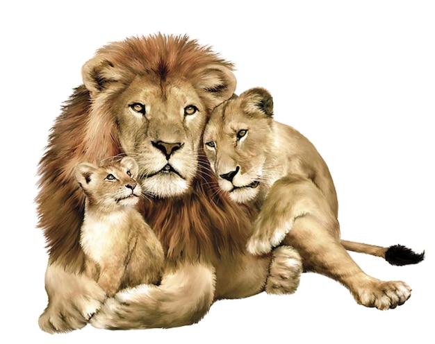 El león es valiente.