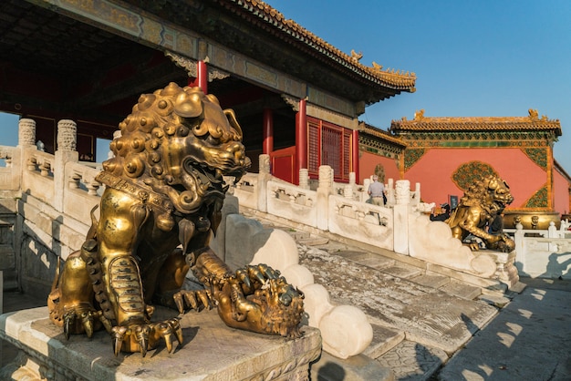 León de oro. Pekín, ciudad prohibida de China