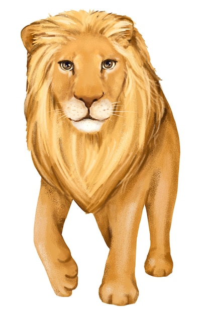 León pegatina png ilustración de un animal lindo fondo transparente