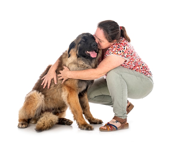 Leonberger joven y mujer delante de un fondo blanco