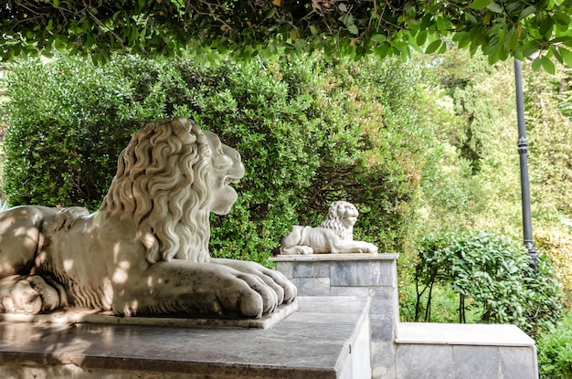 Leones de mármol cerca de las escaleras del parque.