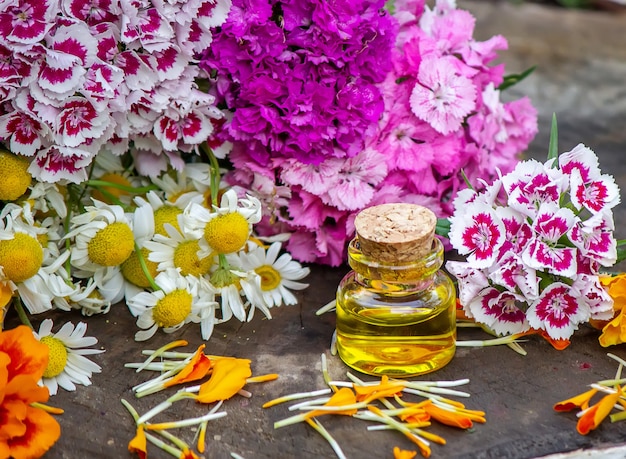 Óleos essenciais e ervas medicinais de flores. Foco seletivo