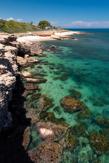 Les Rotes felsiger Strand in der Nähe von Kap Sant Antonio, Denia, Provinz Alicante, Costa Blanca, Spanien