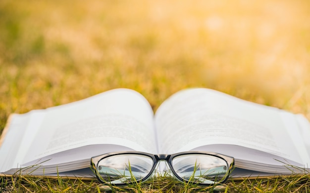 Lesen unter freiem Himmel Erholung im Freien ein Buch lesen