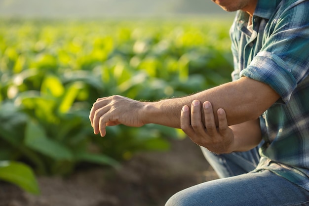 Lesiones o enfermedades que pueden ocurrirles a los agricultores mientras trabajan