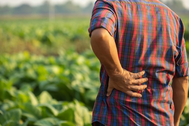 Lesiones o enfermedades que pueden ocurrirles a los granjeros mientras trabajan. El hombre usa su mano para cubrirse la cintura debido al dolor o la sensación de malestar.