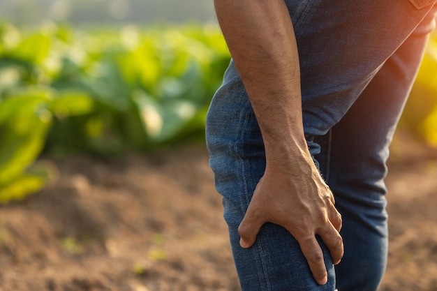 Lesões ou doenças que podem acontecer aos agricultores durante o trabalho O homem está usando a mão para cobrir o bezerro por causa de dor ou mal-estar
