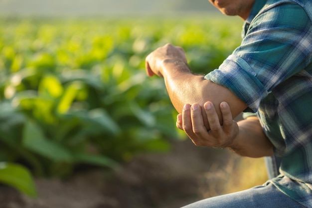 Lesões ou doenças que podem acontecer aos agricultores durante o trabalho O homem está usando a mão para cobrir o cotovelo por causa de dor ou mal-estar