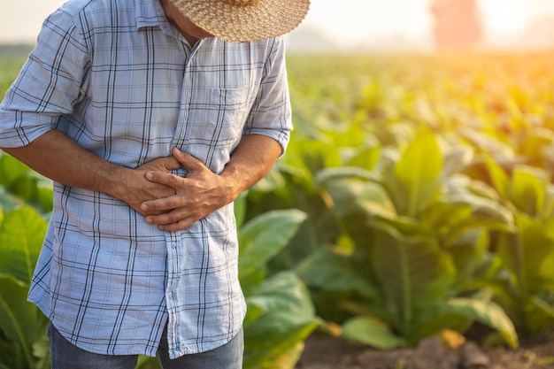 Lesões ou doenças que podem acontecer aos agricultores durante o trabalho O homem está usando a mão para cobrir o estômago por causa de dor ou mal-estar