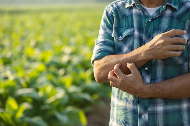 Lesões ou doenças que podem acontecer aos agricultores durante o trabalho O homem está usando a mão para coçar o braço Coceira, dor ou mal-estar