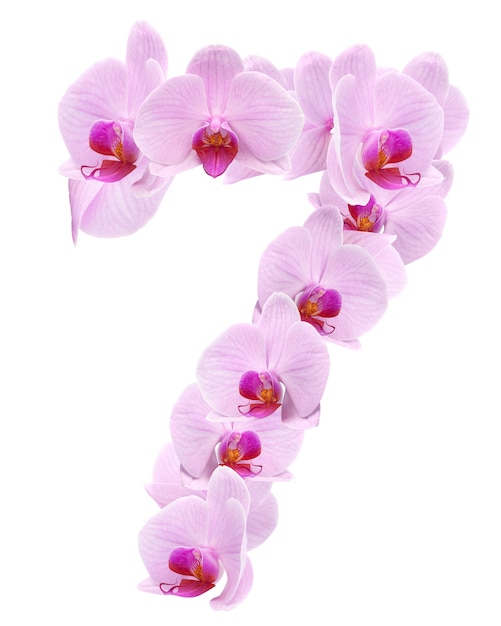 Letra 7 de flores de orquídeas. aislado en blanco