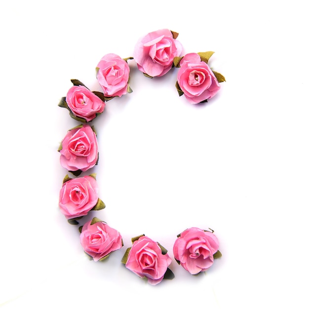 Letra C do alfabeto Inglês de rosas na superfície branca