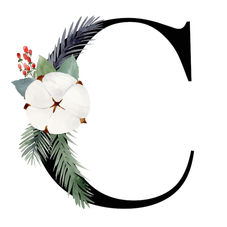 Foto letra floral c com flores de natal