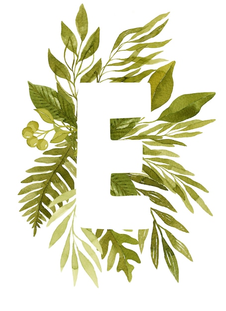 Letra floral E monograma verde acuarela hojas helechos eucalipto y bayas letras florales