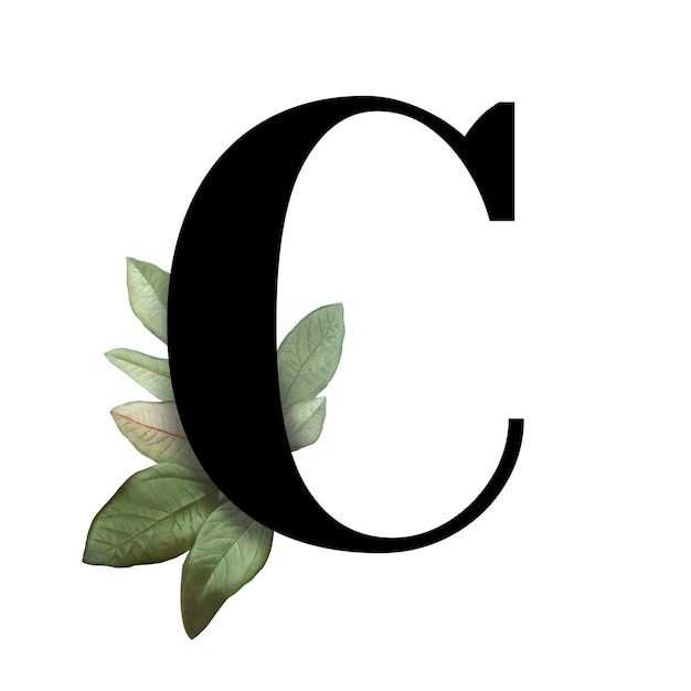 Letra mayúscula botánica C png transparente