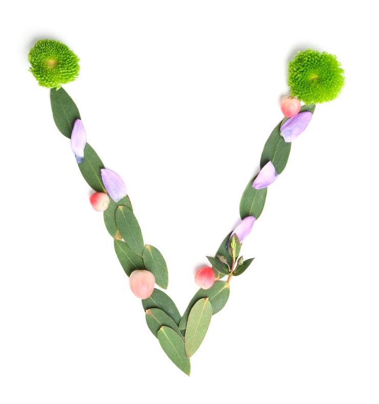 Foto letra v feita de flores e ervas em fundo branco