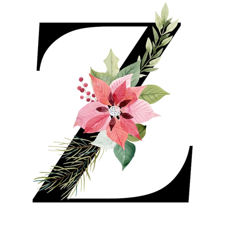 Foto letra z floral con poinsettia de navidad