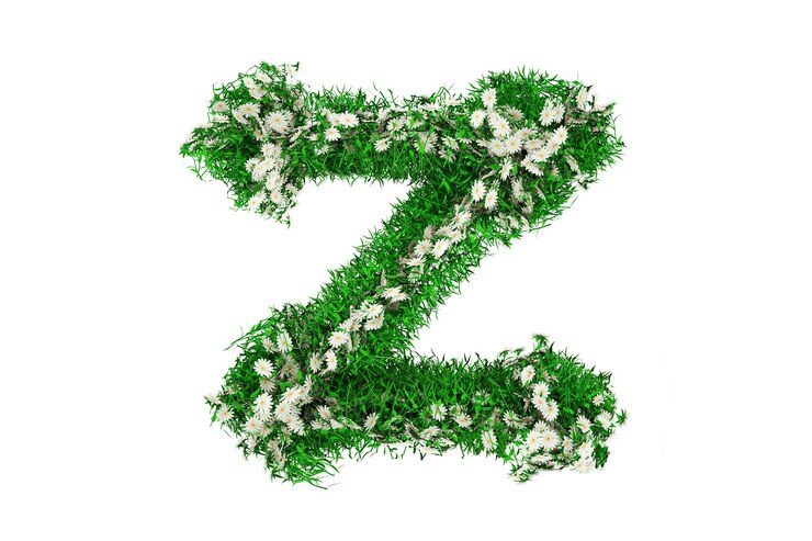 Foto letra z de hierba verde y flores. ilustración 3d.