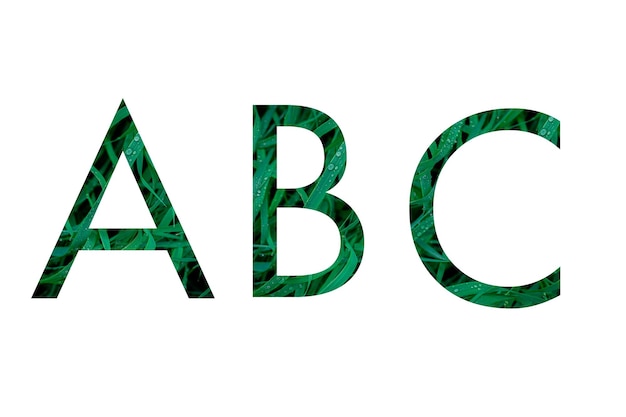 Letras del alfabeto ABC con textura de hierba y rocío dentro de letras