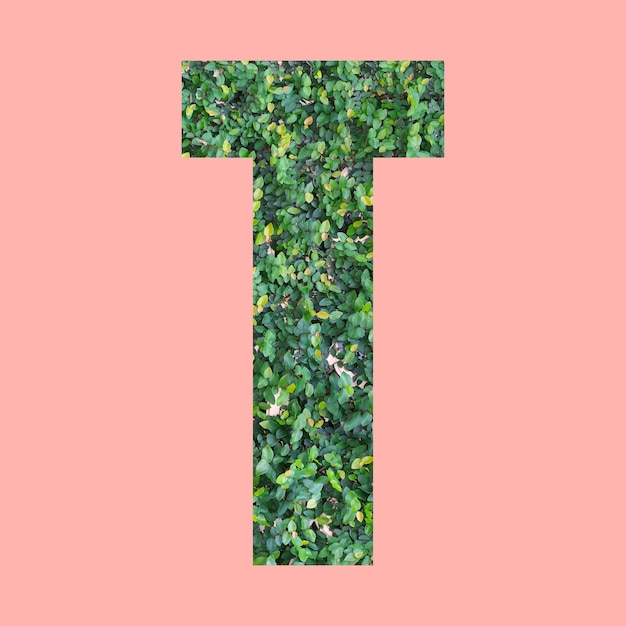 Letras del alfabeto de forma T en estilo hoja verde sobre fondo rosa pastel para el diseño en su trabajo.