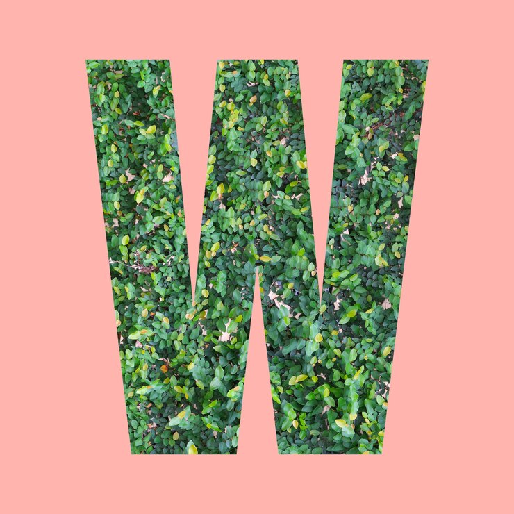 Foto letras del alfabeto de forma w en estilo hoja verde sobre fondo rosa pastel para el diseño en su trabajo.
