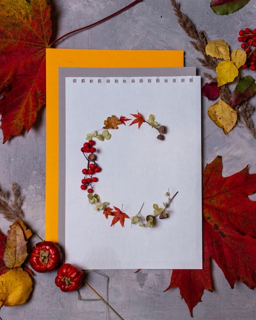 Letras del alfabeto latino de hojas de otoño sobre un fondo blanco.