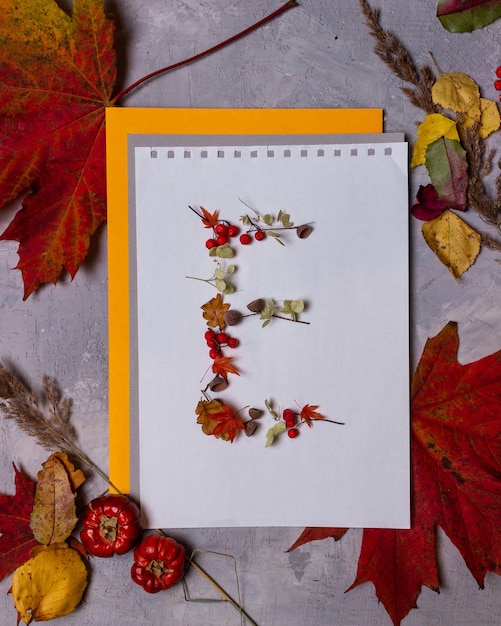 Letras del alfabeto latino de hojas de otoño sobre un fondo blanco.