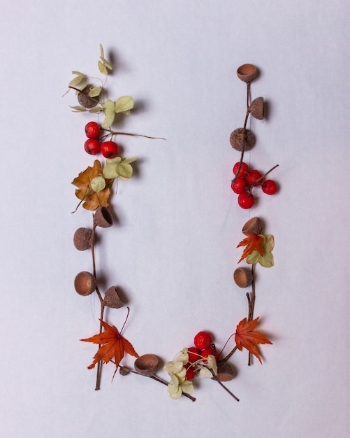 Foto letras del alfabeto latino de hojas de otoño sobre un fondo blanco.