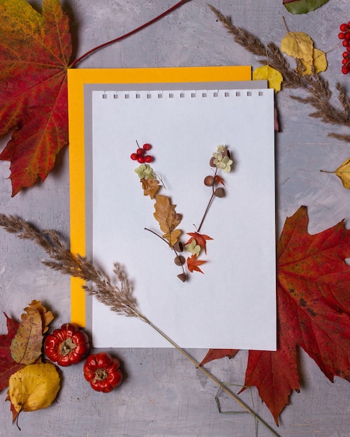 Letras del alfabeto latino de hojas de otoño sobre un fondo blanco.