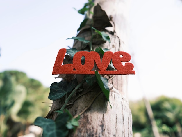 Letras de amor decorativas rojas en un árbol