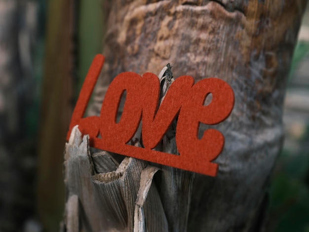 Letras de amor decorativas rojas en un árbol